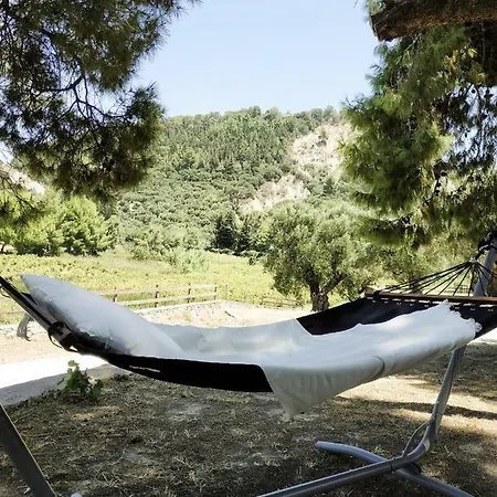 Conifera 扎金索斯镇