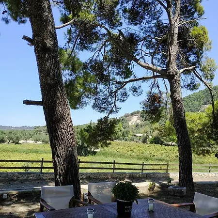 Conifera 别墅 扎金索斯镇