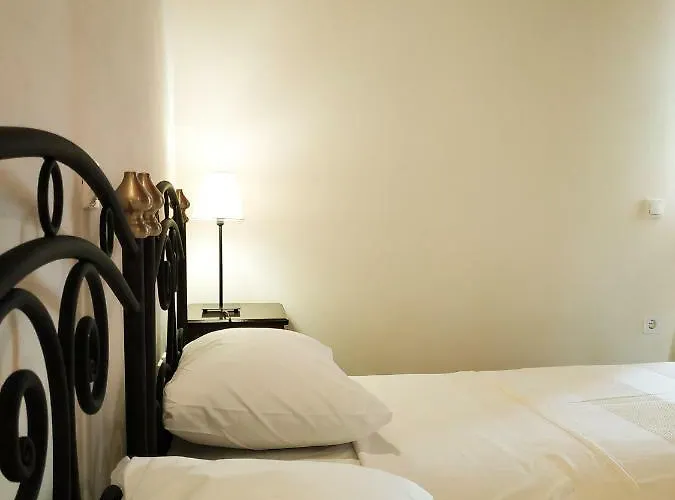 Conifera * 扎金索斯镇