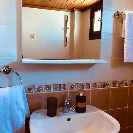 Conifera * Zakynthos Town