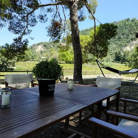 Conifera Villa
