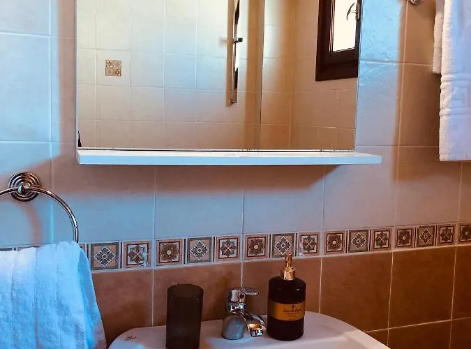 Conifera * مدينة زاكينثوس