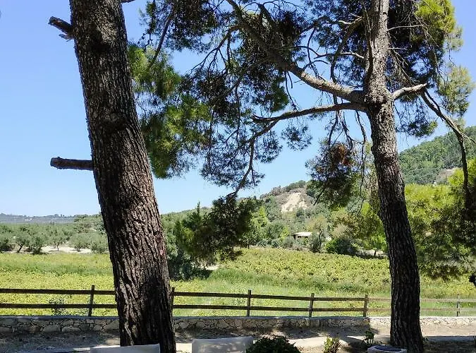 Conifera فيلة مدينة زاكينثوس